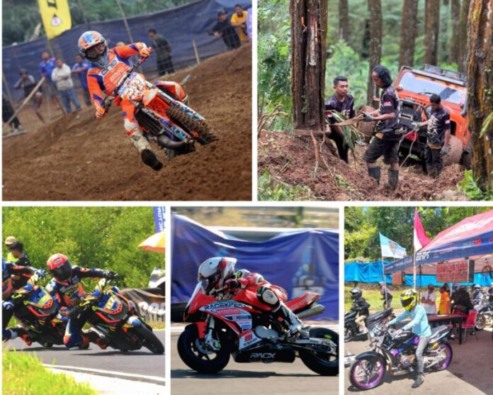 WhatsApp Image 2026-03-26 at 23.28.34